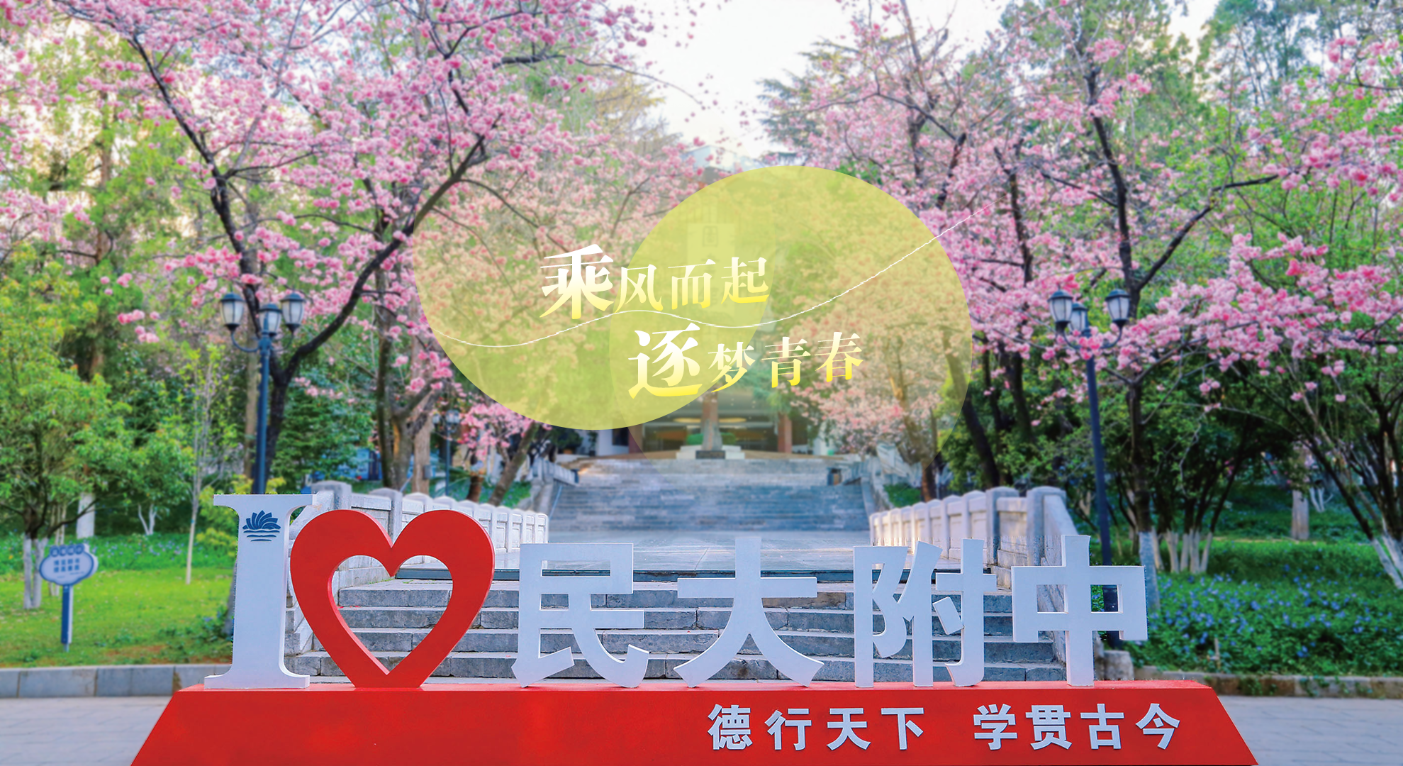 banner圖